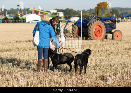 Wenig Carlton, Nottinghamshire, UK: 29. September 2018: Southwell pflügen Match ist der grösste landwirtschaftliche eines Tages zeigen in Nottinghamshire, im Jahre 1855 gegründet und wird von einem Ausschuss, bestehend aus lokalen Geschäftsleuten und ländliche Enthusiasten. Die jährliche Messe ist an einem anderen Schauplatz jedes Jahr statt mit 2018 kleinen Carlton gehalten wird. Credit: Ian Francis/Alamy leben Nachrichten Stockfoto
