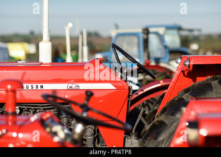 Wenig Carlton, Nottinghamshire, UK: 29. September 2018: Southwell pflügen Match ist der grösste landwirtschaftliche eines Tages zeigen in Nottinghamshire, im Jahre 1855 gegründet und wird von einem Ausschuss, bestehend aus lokalen Geschäftsleuten und ländliche Enthusiasten. Die jährliche Messe ist an einem anderen Schauplatz jedes Jahr statt mit 2018 kleinen Carlton gehalten wird. Credit: Ian Francis/Alamy leben Nachrichten Stockfoto