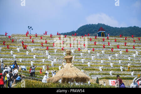 Jiashan, China Zhejiang Provinz. 29 Sep, 2018. Taichi Taichi Enthusiasten durchführen auf dem terrassenförmig angelegten Feld in Gaoyuan Dorf in Dayang Township von Jiande Stadt, der ostchinesischen Provinz Zhejiang, Sept. 29, 2018. Über 2.000 Taichi Enthusiasten nahmen an einer Leistung der lokalen Tourismus von Dayang zu fördern. Credit: Xu Yu/Xinhua/Alamy leben Nachrichten Stockfoto