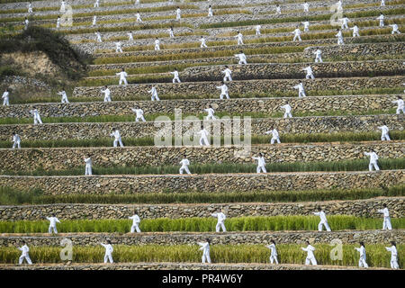 Jiashan, China Zhejiang Provinz. 29 Sep, 2018. Taichi Taichi Enthusiasten durchführen auf dem terrassenförmig angelegten Feld in Gaoyuan Dorf in Dayang Township von Jiande Stadt, der ostchinesischen Provinz Zhejiang, Sept. 29, 2018. Über 2.000 Taichi Enthusiasten nahmen an einer Leistung der lokalen Tourismus von Dayang zu fördern. Credit: Xu Yu/Xinhua/Alamy leben Nachrichten Stockfoto