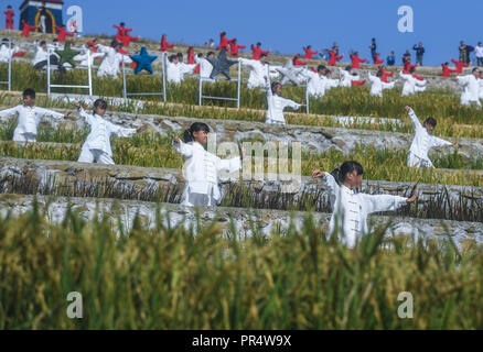 Jiashan, China Zhejiang Provinz. 29 Sep, 2018. Taichi Taichi Enthusiasten durchführen auf dem terrassenförmig angelegten Feld in Gaoyuan Dorf in Dayang Township von Jiande Stadt, der ostchinesischen Provinz Zhejiang, Sept. 29, 2018. Über 2.000 Taichi Enthusiasten nahmen an einer Leistung der lokalen Tourismus von Dayang zu fördern. Credit: Xu Yu/Xinhua/Alamy leben Nachrichten Stockfoto