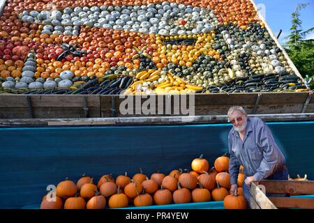 Slindon Village, West Sussex, UK. 29. September 2018. Jährliche Kürbis Anzeige Robin Upton steht vor seinem Kürbis Display, nächste Woche öffnen, die in diesem Jahr im Gedenken an den hundertsten Jahrestag der RAF, das 100-jährige Jubiläum des Waffenstillstandes und seine familys 50 Jahre wachsende Kürbisse. Es läuft von Oktober bis November (rund um Halloween) und besteht aus rund 100 verschiedenen Sorten von Kürbis und Squash. Credit Gary Blake/Alamy leben Nachrichten Stockfoto