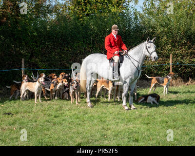 Große Gransden, UK. 29.09.2018, tolle Gransden, Cambridgeshire UK. Der Jäger und Jagdhunde vom Cambridgeshire mit Enfield Chase Foxhounds auf Anzeige an die 116 jährlichen Gransden und Bezirk Landwirtschaftliche Gesellschaft zeigen. Die Veranstaltung präsentiert lokale Landwirtschaft und Landschaft Kunsthandwerk, Lebensmittel, Vieh. Kredit Julian Eales/Alamy leben Nachrichten Stockfoto