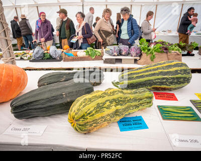 Große Gransden, UK. 29.09.2018, tolle Gransden, Cambridgeshire UK. Einträge in der größten Knochenmark Wettbewerb im Zelt produzieren auf Anzeige an die 116 jährlichen Gransden und Bezirk Landwirtschaftliche Gesellschaft zeigen. Die Veranstaltung präsentiert lokale Landwirtschaft und Landschaft Kunsthandwerk, Lebensmittel, Vieh. Kredit Julian Eales/Alamy leben Nachrichten Stockfoto