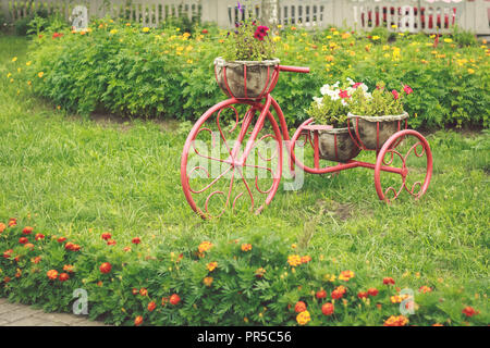Blumenbeet in Form eines alten Vintage Fahrrad in der Stadt Garten unter den grünen Rasen Gras Stockfoto