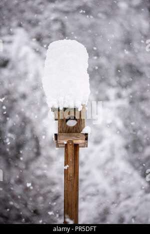 Holz- Bird Feeder, mit einem hohen Cap von Schnee stehen in einem Wintergarten mit schneebedeckten Bäumen und fallende Schneeflocken. Stockfoto