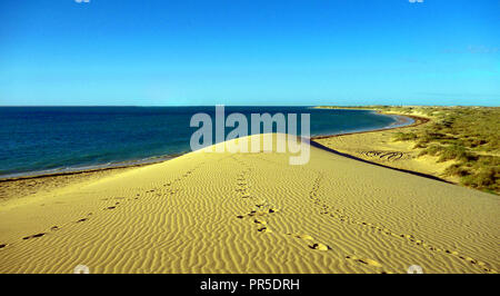 Ningaloo Reef Sand Dünen von Spinifex und der Cape Range National Park umgeben. Stockfoto