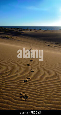 Ningaloo Reef Sand Dünen von Spinifex und der Cape Range National Park umgeben. Stockfoto