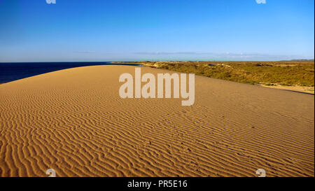 Ningaloo Reef Sand Dünen von Spinifex und der Cape Range National Park umgeben. Stockfoto