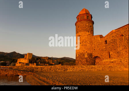 Die Kirche von Notre-Dames-des-Anges und dem Château Royal an Collioure im frühen Morgenlicht leuchten. Stockfoto