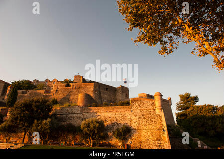 Das Château Royal, glühende im Licht des frühen Morgens, in Collioure, Südfrankreich. Stockfoto