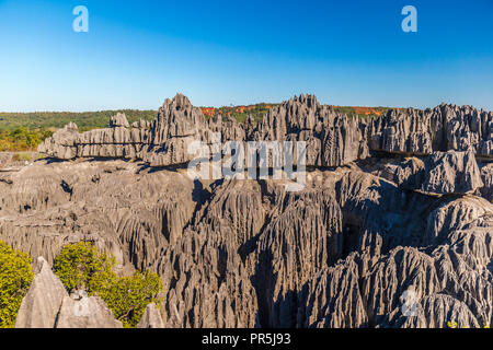 Schöne Aussicht auf die einzigartige Geografie an der Tsingy de Bemaraha Stockfoto