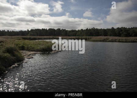 Eine Lagune am Darßer Ort an der Nordspitze der Halbinsel Darß als Notfall Hafen verwendet. Stockfoto