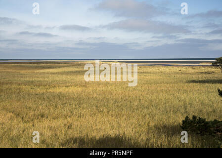 Darßer Ort ist die Spitze der Halbinsel Darß, wo der Sand von der Küste erodiert weiter im Süden niederzulassen und sammelt sich zu neuen Land. Stockfoto