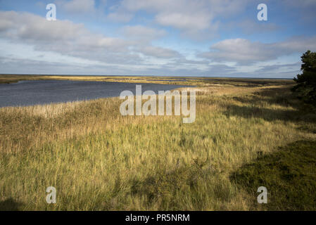 Darßer Ort ist die Spitze der Halbinsel Darß, wo der Sand von der Küste erodiert weiter im Süden niederzulassen und sammelt sich zu neuen Land. Stockfoto