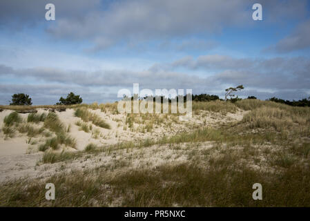 Darßer Ort ist die Spitze der Halbinsel Darß, wo der Sand von der Küste erodiert weiter im Süden niederzulassen und sammelt sich zu neuen Land. Stockfoto