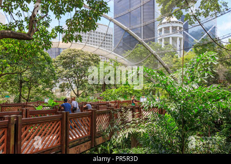 Hongkong - Juli 02, 2018: Edward Youde Voliere im Hong Kong Park Stockfoto