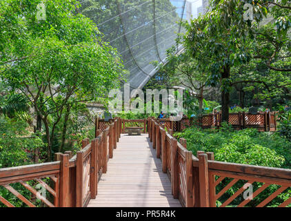 Hongkong - Juli 02, 2018: Edward Youde Voliere im Hong Kong Park Stockfoto