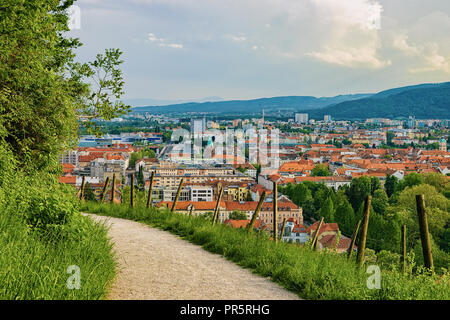 Weg Weinberge auf Piramida Hügel und das Stadtbild von Maribor, untere Steiermark, Slowenien Stockfoto