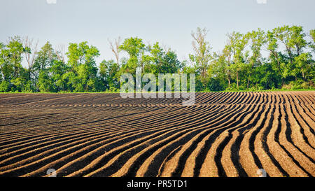 Gepflügte Feld in Niederschlesien, Polen Stockfoto