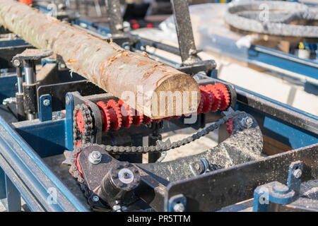 Sägewerk. Prozess der Bearbeitung Protokolle in der Ausrüstung Sägewerk Maschine Säge sägen den Baumstamm auf der Planke Boards. Sägemehl Arbeit sägen Holz Holz Holz Stockfoto