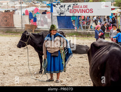 Samstag, Viehmarkt, Otavalo, Provinz Imbabura, Ecuador Stockfoto