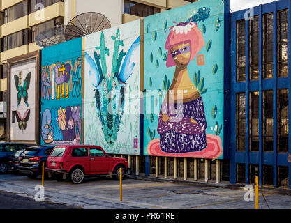 Street Art in La Floresta Nachbarschaft, Quito, Provinz Pichincha, Ecuador Stockfoto