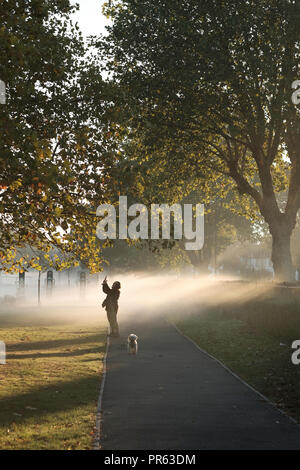 Am frühen Morgen Nebel, Acton, Park, W3, London, Vereinigtes Königreich Stockfoto