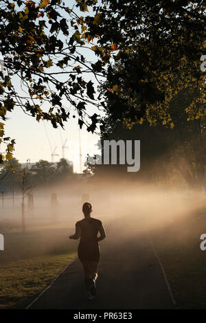 Am frühen Morgen Nebel, Acton, Park, W3, London, Vereinigtes Königreich Stockfoto
