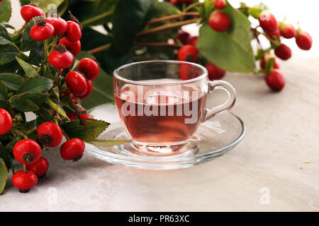 Tee Tasse Kräutertee Dog Rose Tee mit Bündel Zweig Hagebutten, Typen Rosa Canina Hüften. Heilpflanzen und Kräutern Zusammensetzung Stockfoto