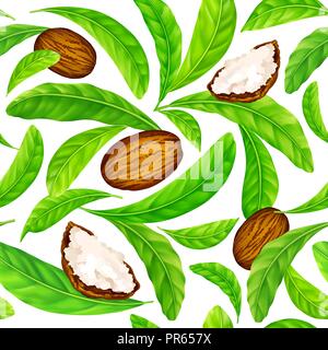 Sheanüsse mit Blättern in Vektor Muster. Stock Vektor