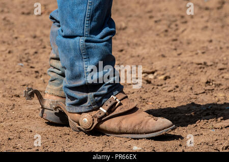 Australien, Northern Territory, Katherine. Detail der typische Outback Cowboy Stiefeln, Jeans und Sporen. Stockfoto
