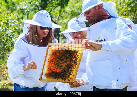 Bienen, Bienen und Honig Erntemaschinen in einer natürlichen Landschaft Bienenhaus Stockfoto