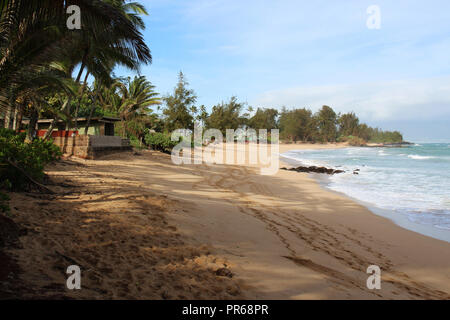 Der lange Sandstrand von Paia Bay mit einer Schildkröte im Sand ausruhen und den sanften Wellen des Ozeans an Land kommen Stockfoto