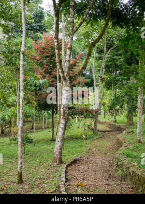 Bom Sucesso Botanischer Garten, São Tomé Stockfoto