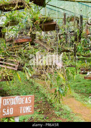 Bom Sucesso Botanischer Garten, São Tomé Stockfoto