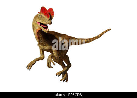 Dilophosaurus, theropode Saurier aus der frühen Kreidezeit (3d-Abbildung auf weißem Hintergrund) Stockfoto