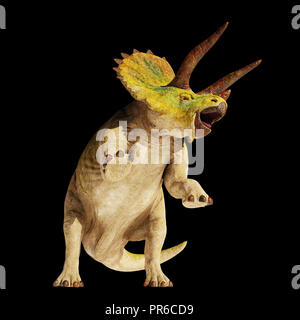 Triceratops horridus Dinosaurier in Aktion (3D-Darstellung auf schwarzem Hintergrund isoliert) Stockfoto