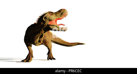 Tyrannosaurus rex brüllend, T-rex Dinosaurier (3d-Abbildung auf weißem Hintergrund) Stockfoto