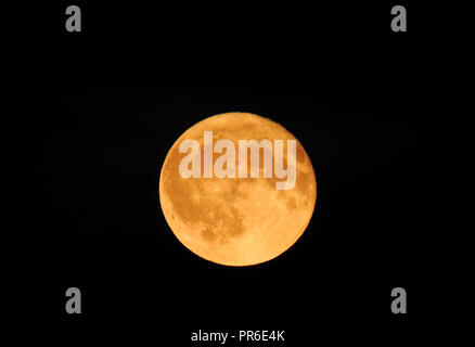 Harvest Moon Stockfoto