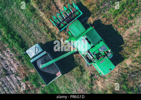 Luftbild des Feldhäckslers Landwirtschaft Maschine Mähdreschers der Sonnenblume. Stockfoto