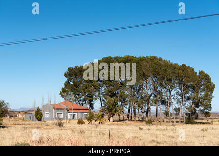 LUCKHOFF, SÜDAFRIKA, August 6, 2018: ein Bauernhof Szene, mit Haus und Bäumen, in der Nähe von Luckhoff in der Provinz Stockfoto