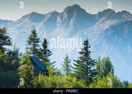 Berge im Sommer und Hütte. Stockfoto