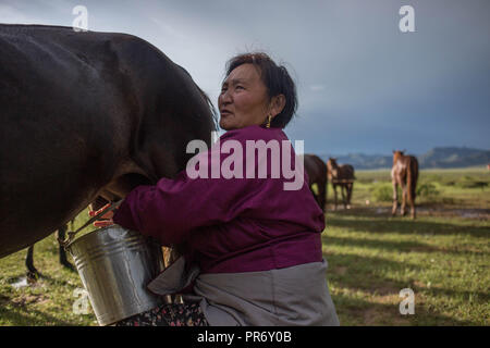 Eine lokale Frau gesehen, das Melken einer Kuh nach einem starken Sturm in der Nähe der kleinen Ortschaft Lün in der Stadt Wörth an der Donau, Mongolei beendet. Stockfoto