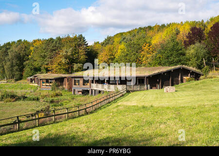 Visitor Center, Washington Wetland Centre, Wildgeflügel und Feuchtgebiete Vertrauen, North East England, Großbritannien Stockfoto