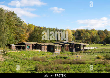 Visitor Center, Washington Wetland Centre, Wildgeflügel und Feuchtgebiete Vertrauen, North East England, Großbritannien Stockfoto