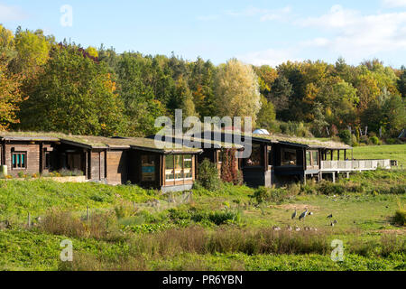 Visitor Center, Washington Wetland Centre, Wildgeflügel und Feuchtgebiete Vertrauen, North East England, Großbritannien Stockfoto