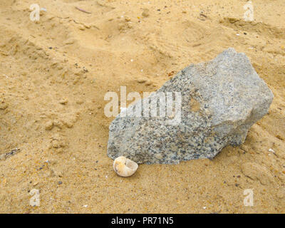 Big Stone und kleine Schale von sumpfdeckelschnecke Stockfoto