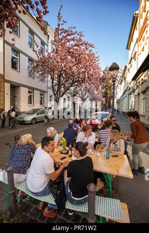 Café im Freien unter blühenden Kirschbäume im Heerstrasse, Bonn, Deutschland Stockfoto