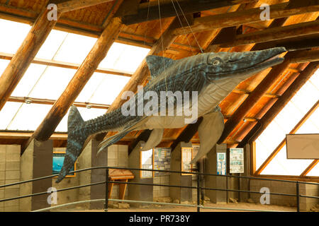 Ichthyosaur Fossil Site, Berlin-Icthyosaur State Park, Nevada Stockfoto